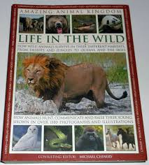 Amazing Animal Kingdom: Life in the Wild