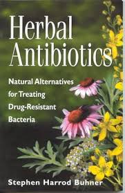 Herbal Antibiotics: Natural Alternatives for Treating Drug-Resistant Bacteria