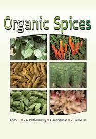Organic Spices