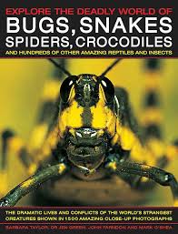 Exploring the Deadly World of Bugs, Snakes, Spiders, Crocodiles and Hundreds of other Amazing Reptile and Insects