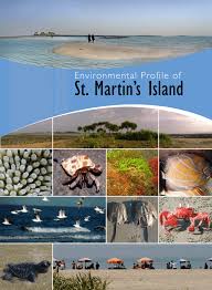 Environmental Profile of St. Martin's Island