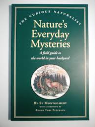 Nature's Everyday Mysteries: A Field Guide to the World in Your Backyard