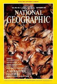National Geographic Volume 3 1991