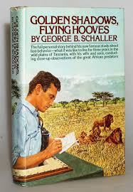 Golden Shadows, Flying Hooves