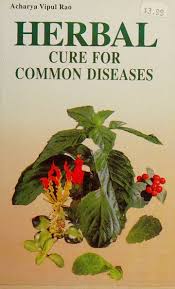 Herbal Cure For Common Diseases