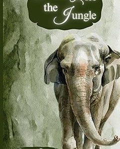 Ahead lies the jungle