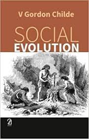Social Evolution