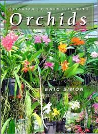Brighten Up Your Life With Orchids