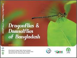 Dragonflies & Damselflies of Bangladesh