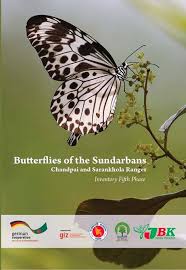 Butterflies of the Sundarbans: Chandpai and Sarankhola Ranges