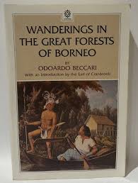 Wanderings in the Great Forests of Borneo