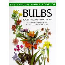 Bulbs