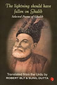 The Lightning Should Have Fallen on Ghalib: Selected Poems of Ghalib