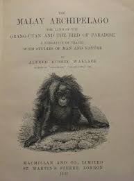 The Malay Archipelago