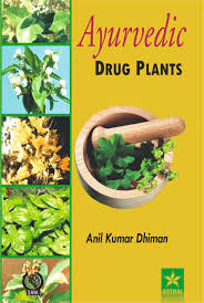 Ayurvedic Drug Plants