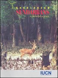 The Bangladesh Sundarbans: A photoreal sojourn
