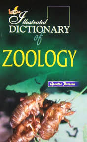 Illustrated Dictionary of Zoology