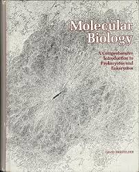Molecular Biology: A Comprehensive Introduction to Prokaryotes and Eukaryotes