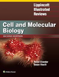 Lippincott Illustrated Reviews: Cell and Molecular Biology