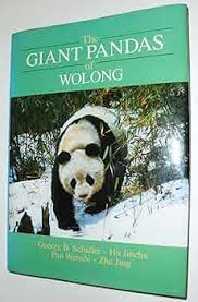 The Giant Panda