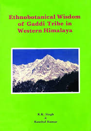 Ethnobotanical Wisdom of Gaddi Tribe in Western Himalaya