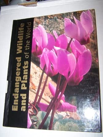 06031714.jpg
