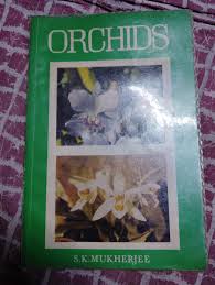 Orchids