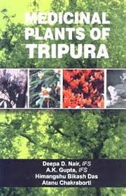 Medicinal Plants of Tripura