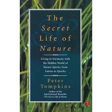 The Secret Life of Nature: Living in the Harmony with the Hidden World of Nature Spirits, from Fairies to Quarks
