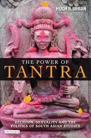 The Power of Tantra: Religion, Sexuality and the Politics of South Asian Studies