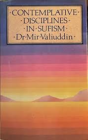 Contemplative Discipline in sufism