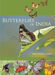 Butterflies of India