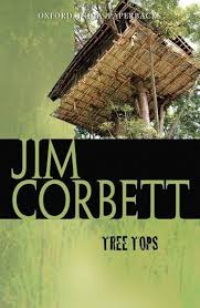 Tree Tops