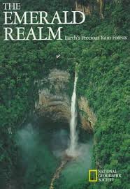 The Emerald Realm: Earth's Precious Rain Forest
