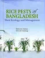 Rice Pests of Bangladesh: Their Ecology and Management