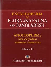 Encyclopedia of Flora and Fauna of Bangladesh: Angiosperms, Monocotyledons, Orchidaceae - Zingiberaceae, Volume 12