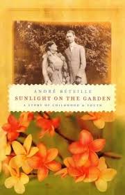 Sunlight on the Garden: A Story of Childhood & Youth