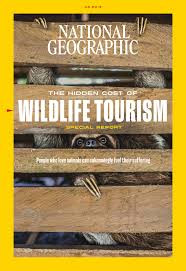 The Hidden Cost of Wildlife Tourism