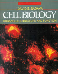 Cell Biology By Sadava