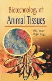 Biotechnology Of Animal Tissue By Yadav & Tyagi