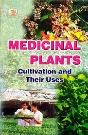 Medicinal Plants: Cultivation and Their Uses