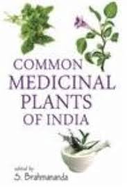Common Medicinal Plants of India