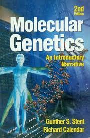 Molecular Genetics: An Introductory Narrative