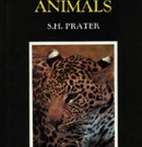 The Book of Indian Animals: Written by S. H. Prater, 1990 Edition, (3rd Edition) Publisher: OUP India [Hardcover]