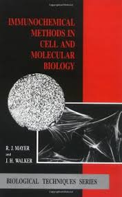 Immunochemical Methods In Cell And Molecular Biology