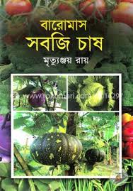 বারোমাস সবজি চাষ