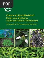 Commonly used medicinal herbs and shrubs by traditional herbal practitioners
