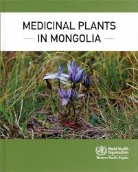 Medicinal Plants in Mongolia