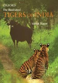 The Illustrated Tigers of India (Oxford India Collection (Hardcover))