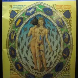 Astrology: The Celestial Mirror (Art and Imagination)